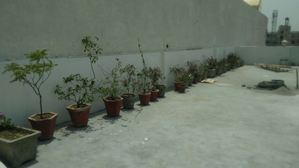 rosewood creek girls pg in aligarh